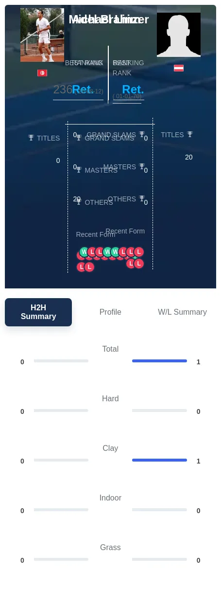 Linzer Brahim H2h Summary Stats
