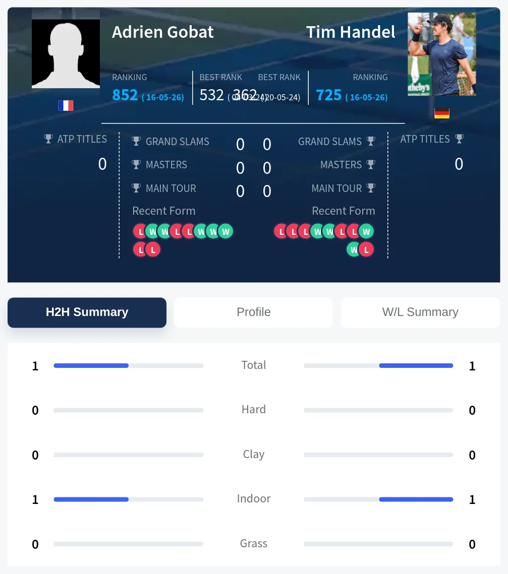 Gobat Handel H2h Summary Stats