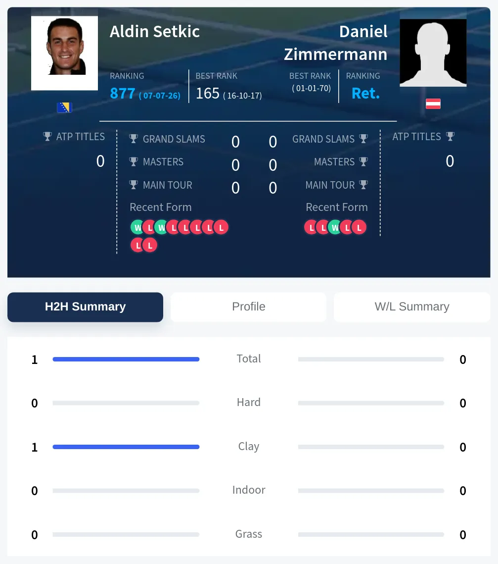Setkic Zimmermann H2h Summary Stats