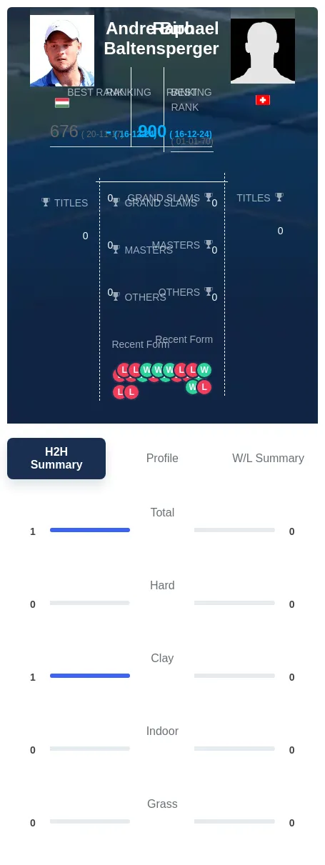 Biro Baltensperger H2h Summary Stats