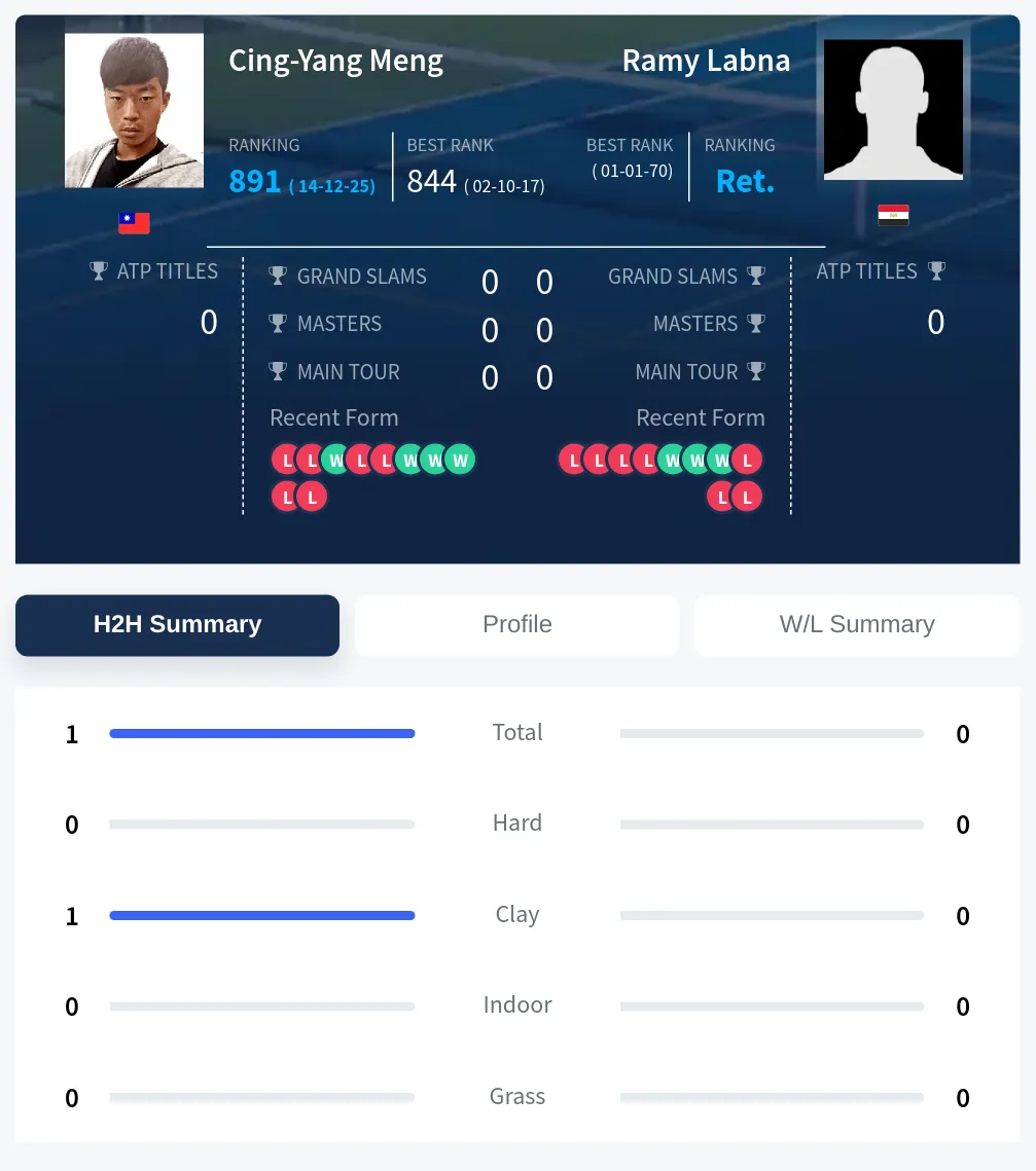 Meng Labna H2h Summary Stats