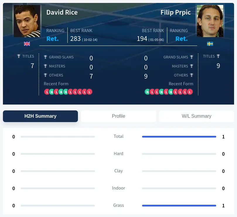 Rice Prpic H2h Summary Stats