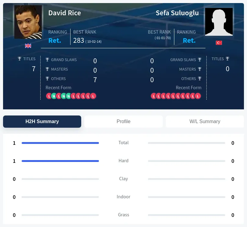 Rice Suluoglu H2h Summary Stats