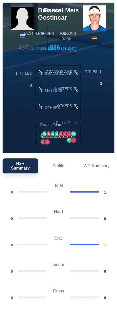 Gostincar Meis H2h Summary Stats