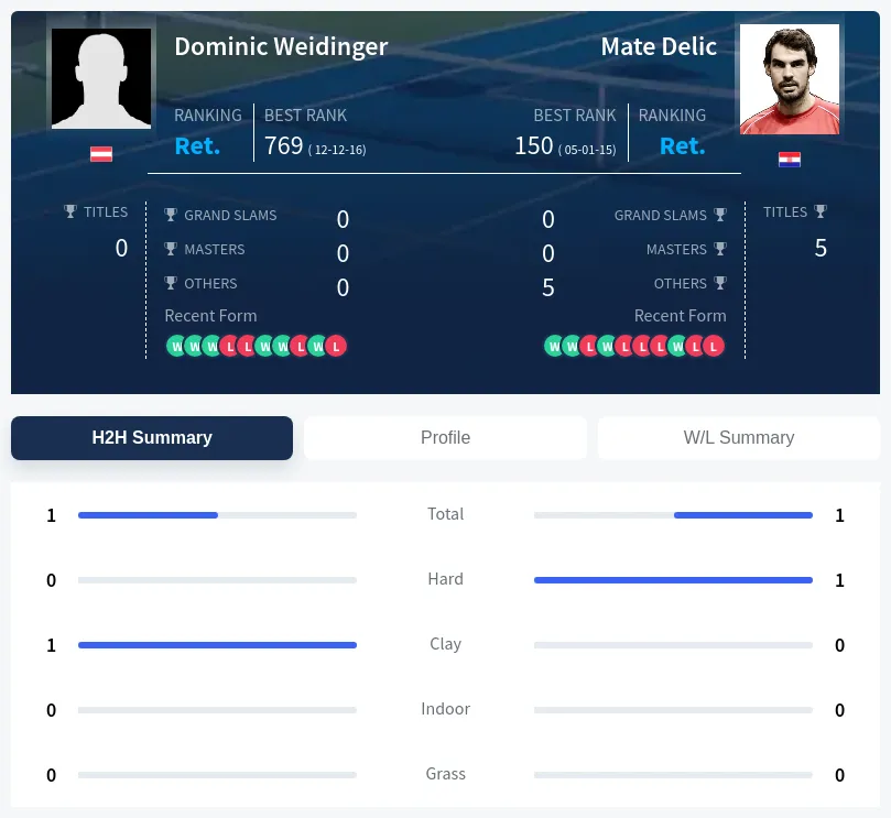 Delic Weidinger H2h Summary Stats