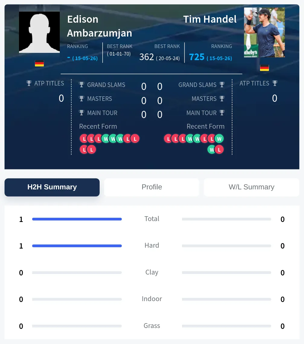 Ambarzumjan Handel H2h Summary Stats