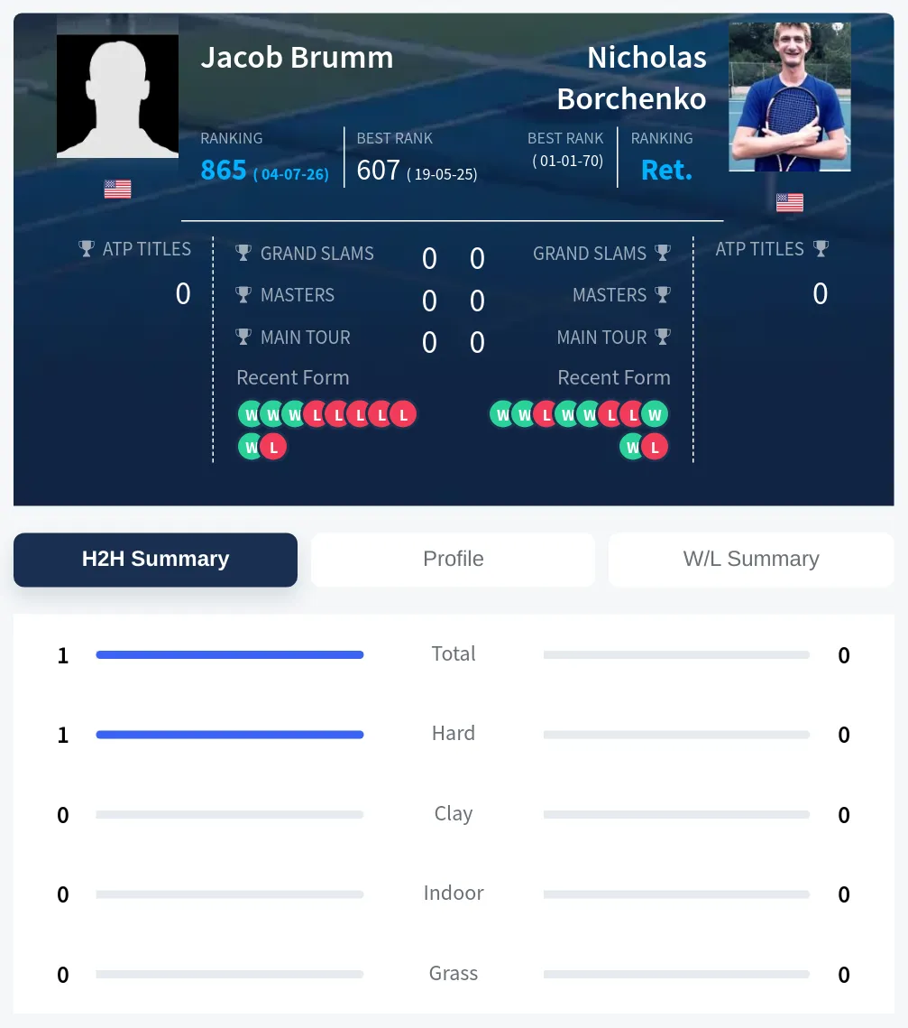 Borchenko Brumm H2h Summary Stats