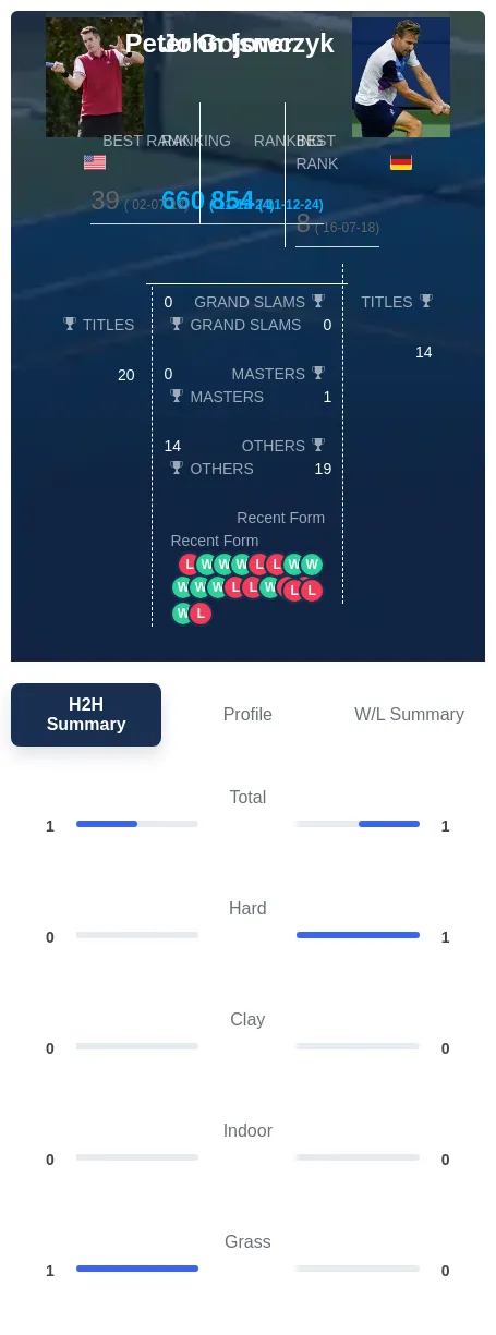 Isner Gojowczyk H2h Summary Stats