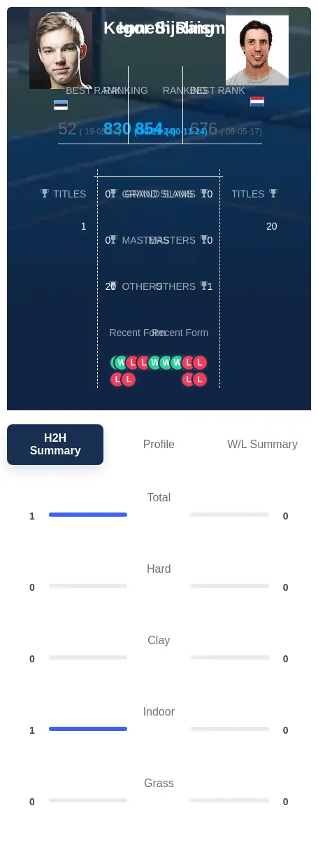 Raisma Sijsling H2h Summary Stats