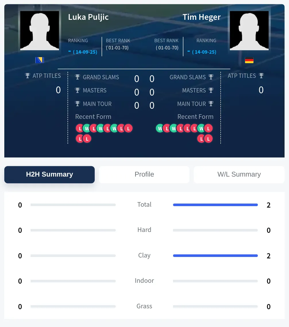 Puljic Heger H2h Summary Stats