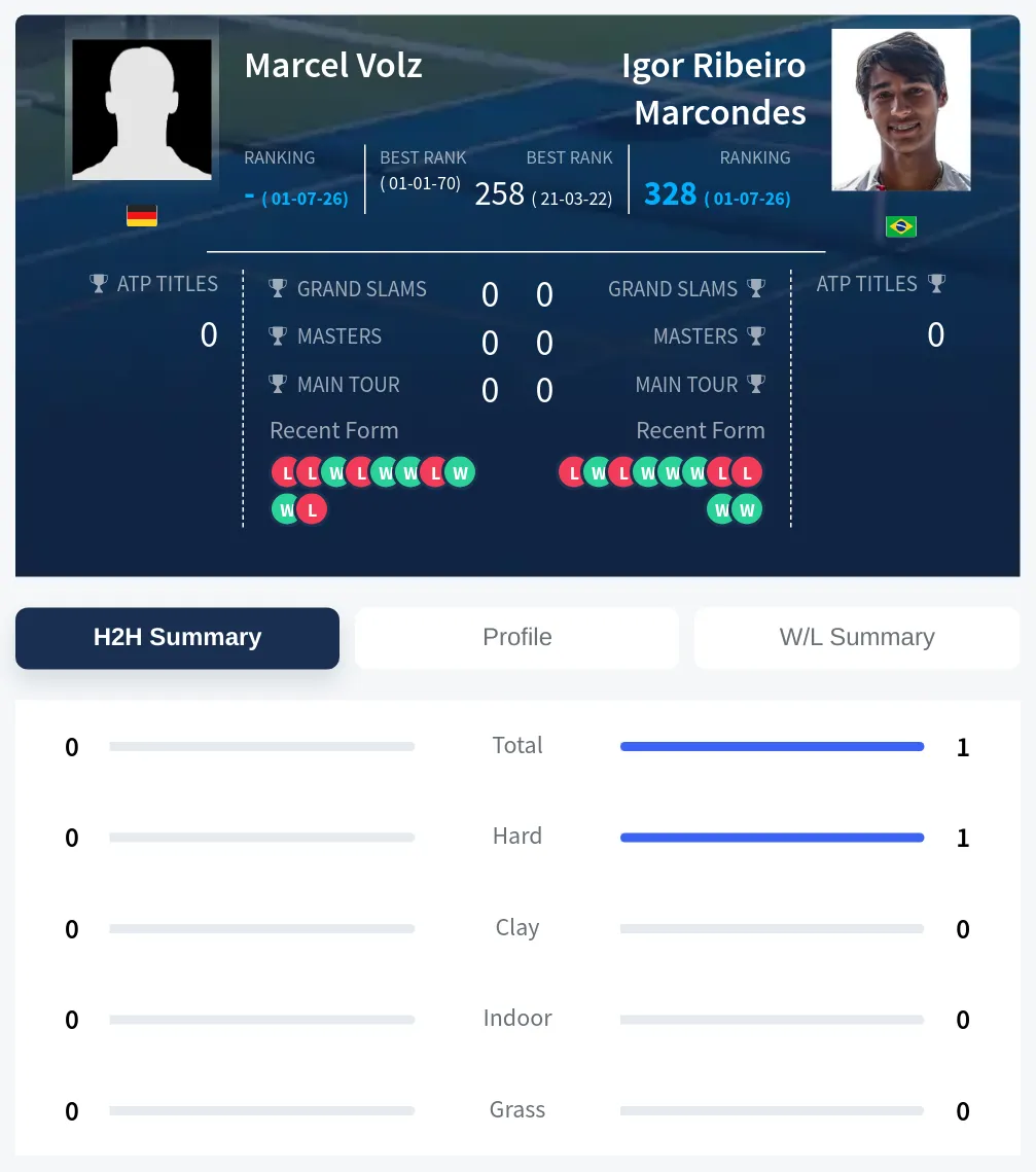 Volz Marcondes H2h Summary Stats