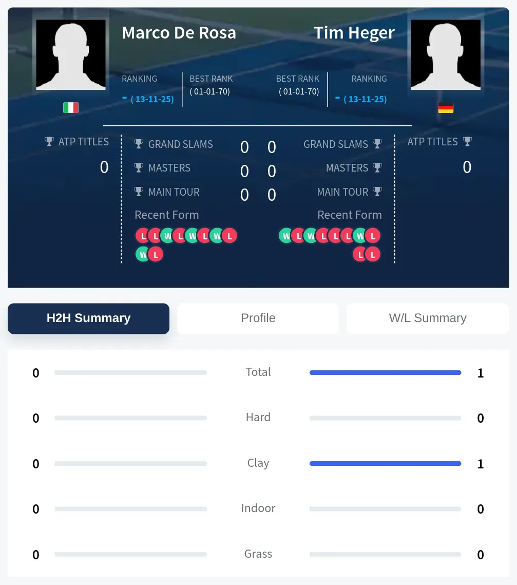 Rosa Heger H2h Summary Stats