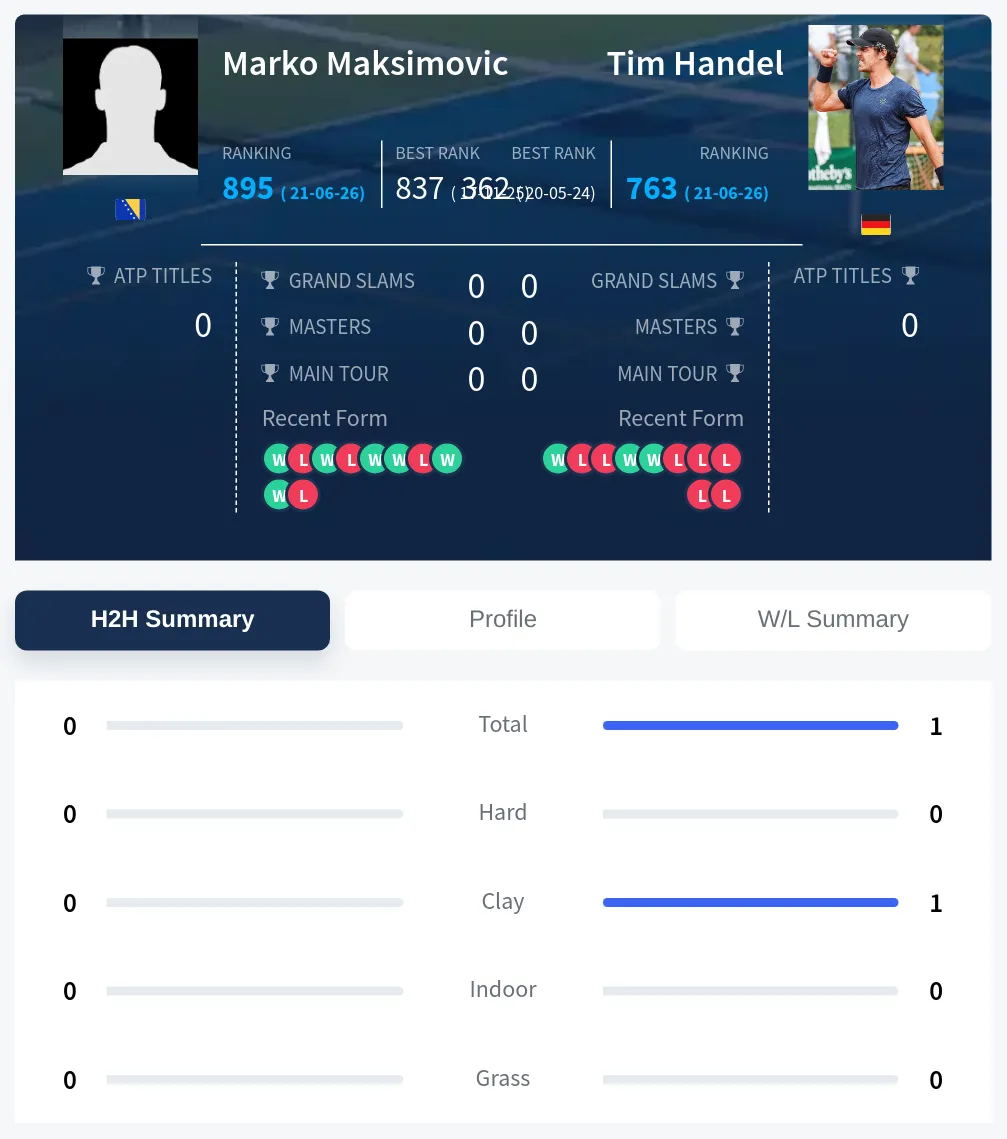 Maksimovic Handel H2h Summary Stats
