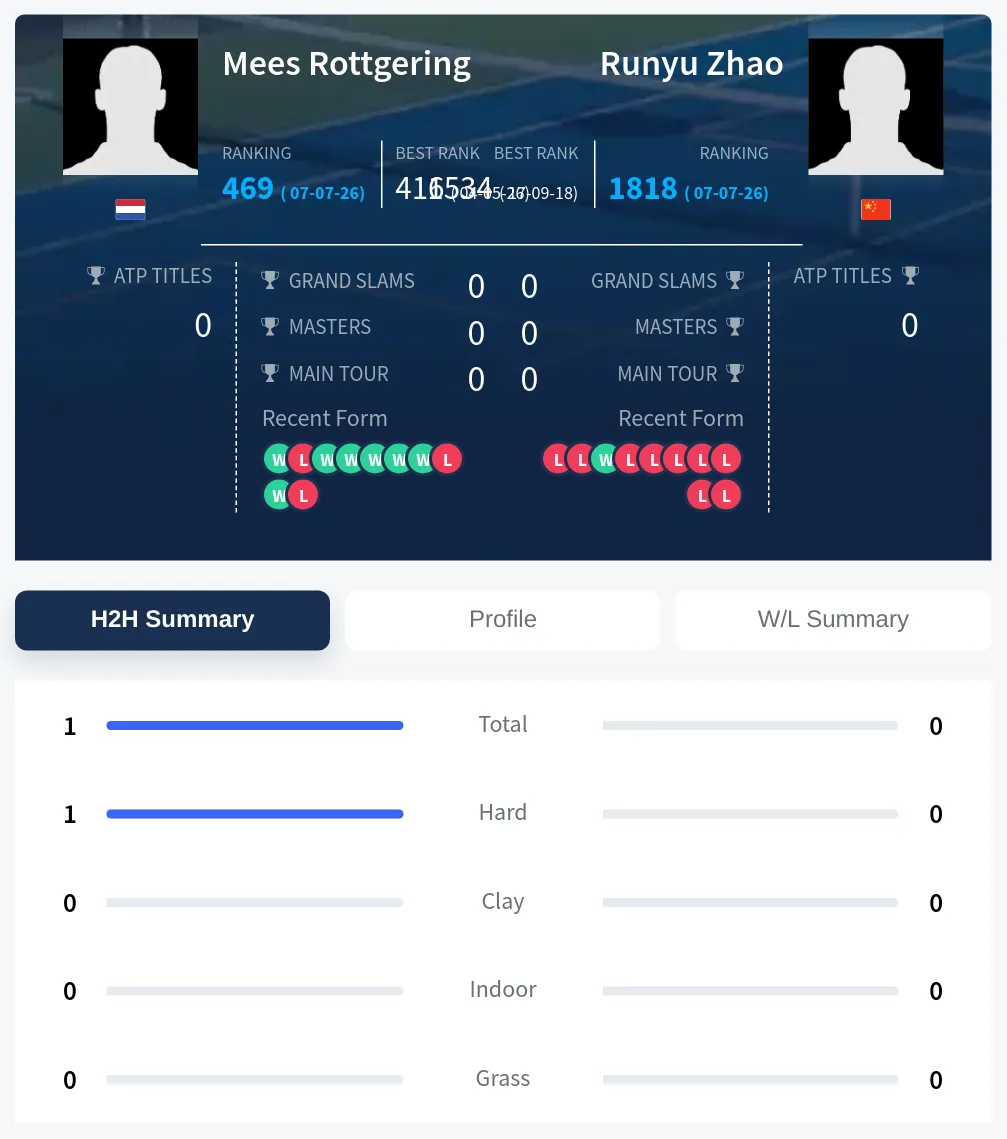 Rottgering Zhao H2h Summary Stats