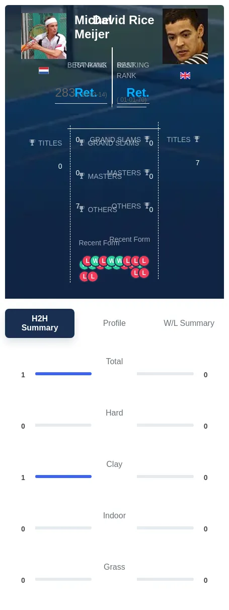 Meijer Rice H2h Summary Stats