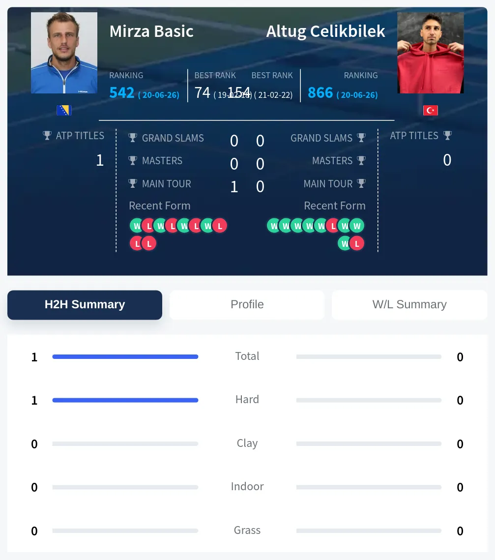 Basic Celikbilek H2h Summary Stats