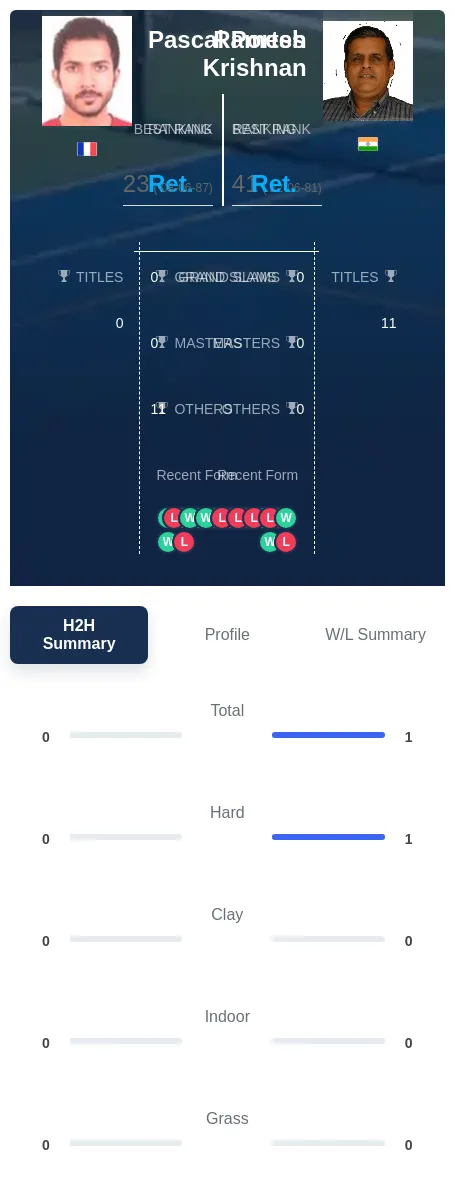 Krishnan Portes H2h Summary Stats