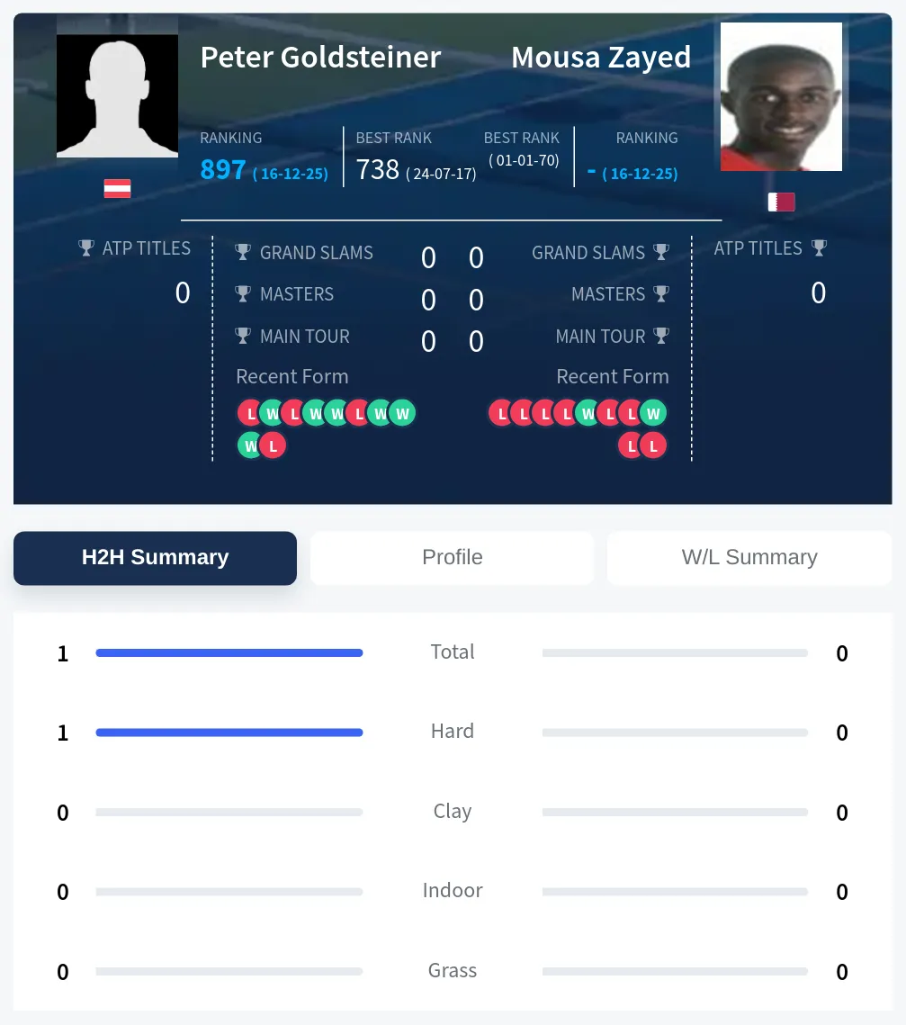 Goldsteiner Zayed H2h Summary Stats