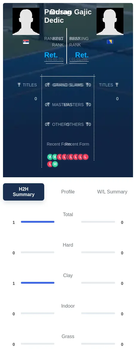 Dedic Gajic H2h Summary Stats