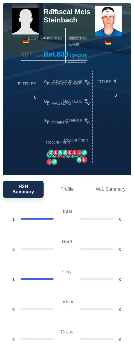 Steinbach Meis H2h Summary Stats