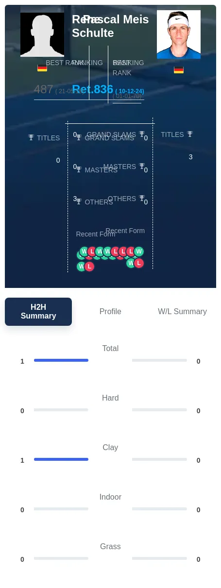 Schulte Meis H2h Summary Stats