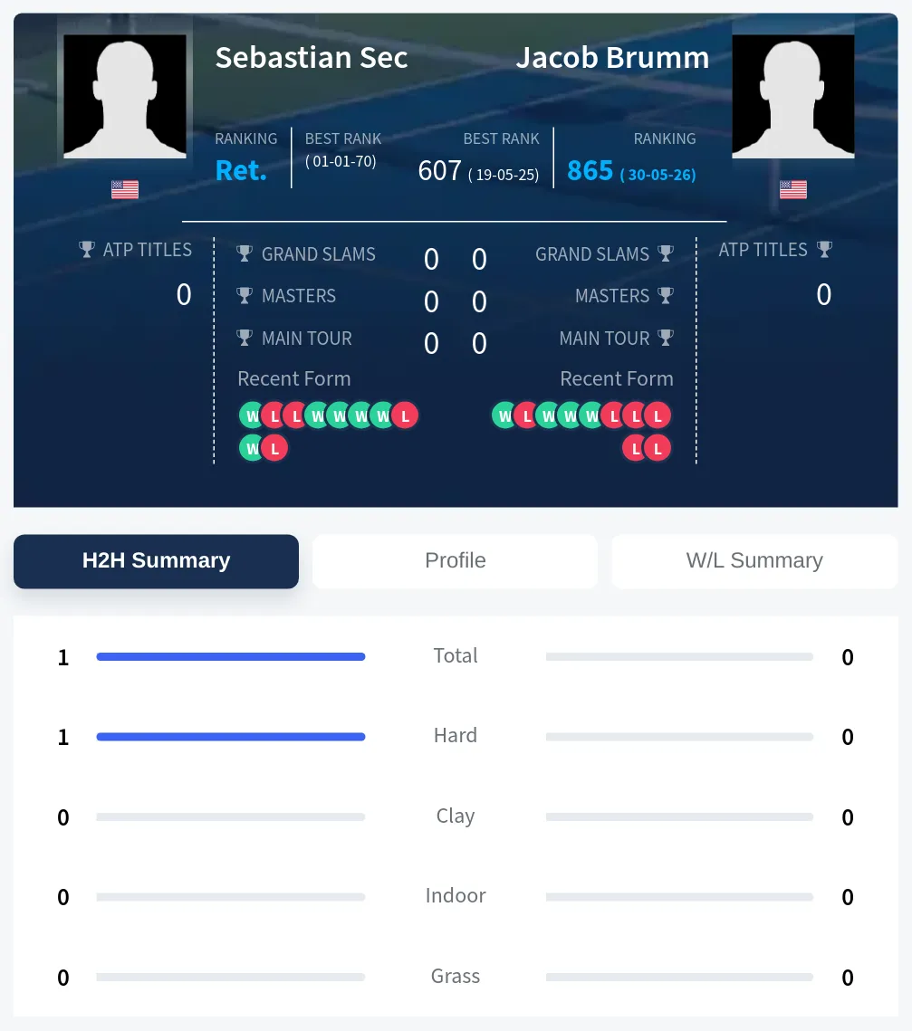 Sec Brumm H2h Summary Stats