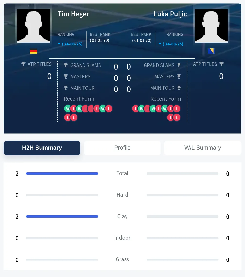 Heger Puljic H2h Summary Stats