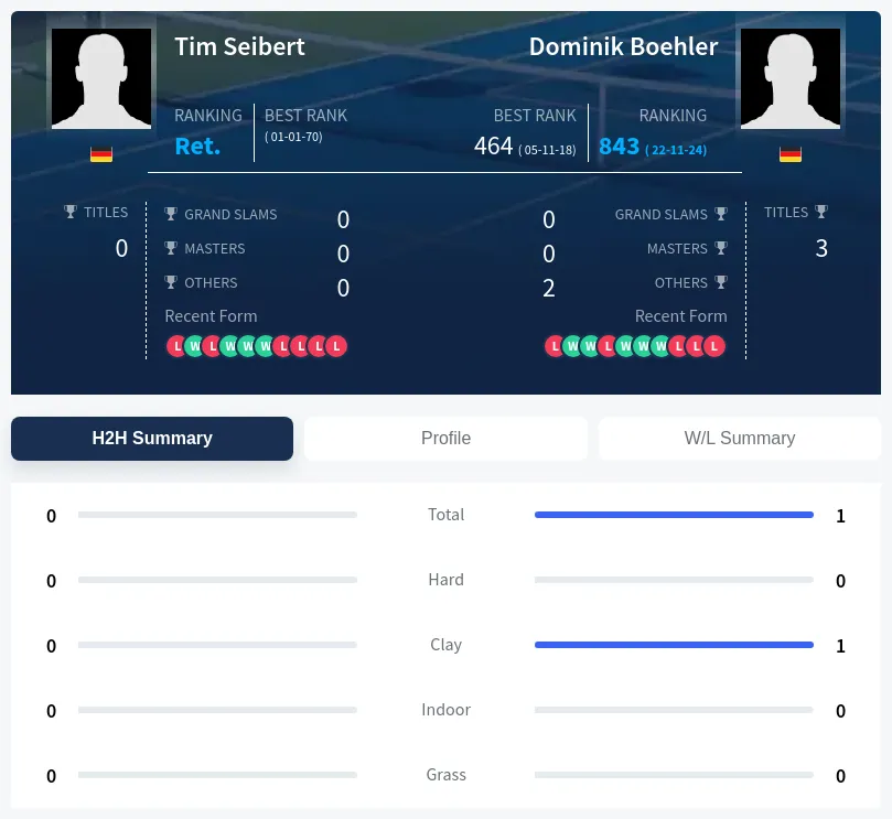Boehler Seibert H2h Summary Stats