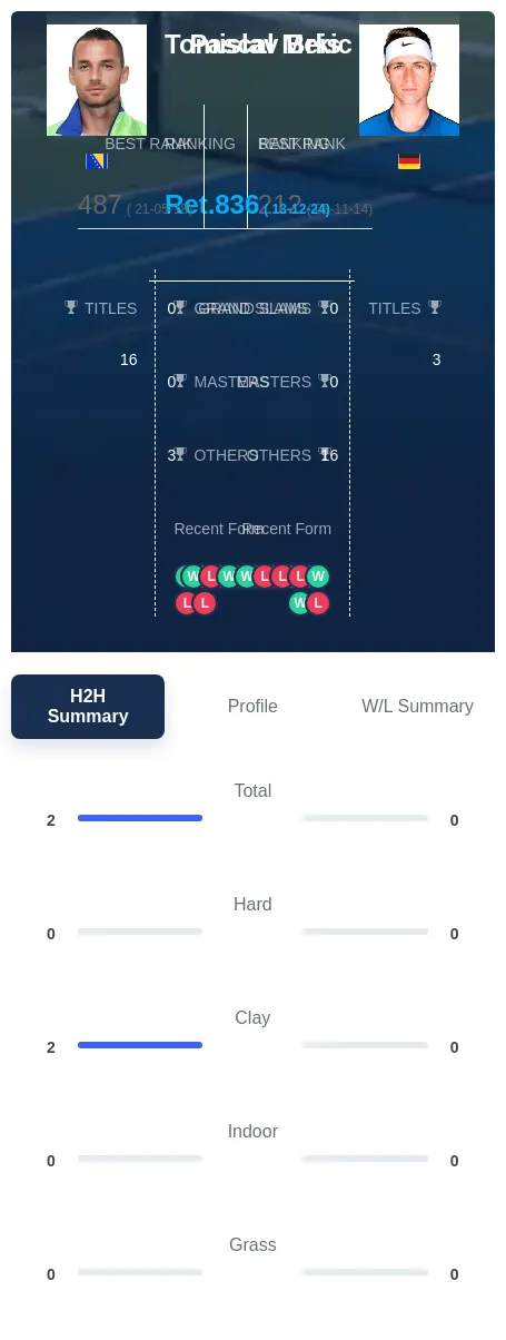 Brkic Meis H2h Summary Stats