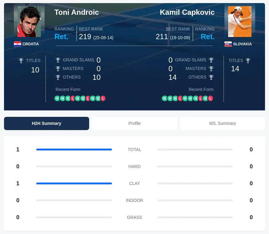 Androic Capkovic H2h Summary Stats